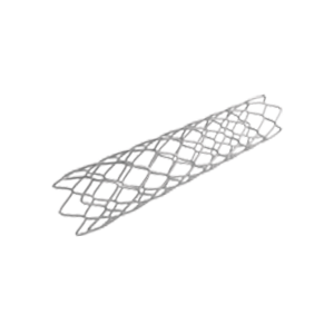 Picture of coated stent